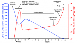 Hiv-timecourse
